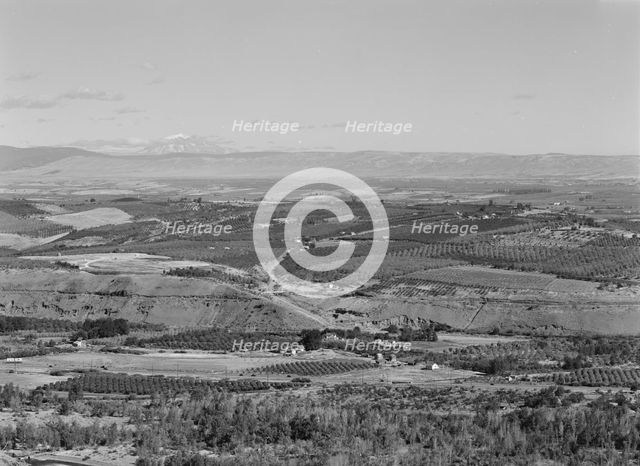 Possibly: Looking down on part of the Valley, approximately six miles from Yakima, Washington, 1939. Creator: Dorothea Lange.