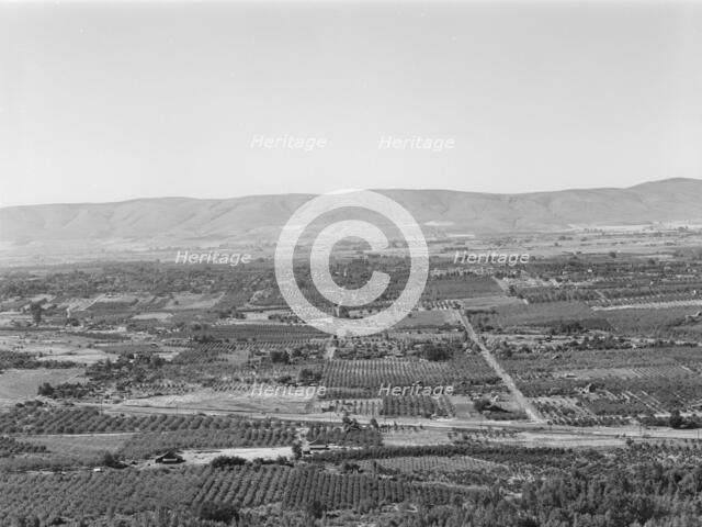 Possibly: Looking down on part of the Valley, approximately six miles from Yakima, Washington, 1939. Creator: Dorothea Lange.