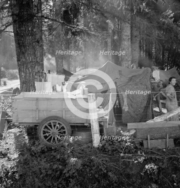 Possibly: Large private auto camp in woods..., near West Stayton, Marion County, Oregon, 1939. Creator: Dorothea Lange.