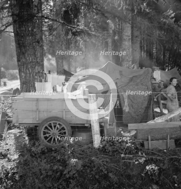 Possibly: Large private auto camp in woods..., near West Stayton, Marion County, Oregon, 1939. Creator: Dorothea Lange.