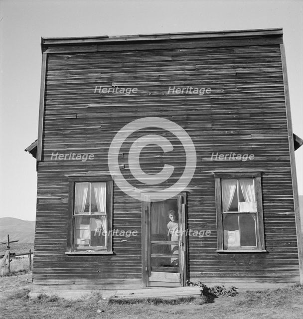 Possibly: Member of Ola self help sawmill co-op lives in what was once..., Gem County, Idaho, 1939. Creator: Dorothea Lange.