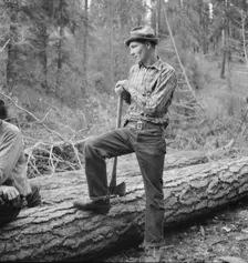 Possibly: Member of the co-op in the woods, Ola self help cooperative..., Gem County, Idaho, 1939. Creator: Dorothea Lange