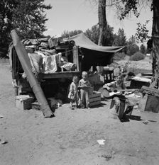 Possibly: Migratory children living in "Rambler's Park", Yakima Valley, Washington, 1939. Creator: Dorothea Lange