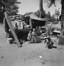 Possibly: Migratory children living in "Rambler's Park", Yakima Valley, Washington, 1939. Creator: Dorothea Lange