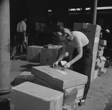 Possibly: Miss Ida Hicks, Lithuanian twenty-eight years old..., New Britain, Connecticut, 1943. Creator: Gordon Parks