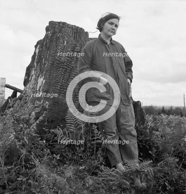 Possibly: Mrs Arnold, age thirty two, does man's work..., Michigan Hill, Thurston County, 1939. Creator: Dorothea Lange.
