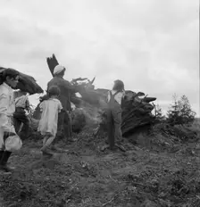Possibly: Mrs. Arnold and her children before the stump pile, Michigan Hill, Washington, 1939. Creator: Dorothea Lange