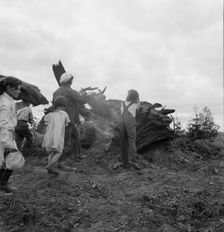 Possibly: Mrs. Arnold and her children before the stump pile, Michigan Hill, Washington, 1939. Creator: Dorothea Lange