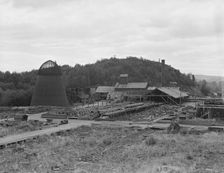 Possibly: Mumby Lumber Mill, closed in 1938..., Malone, Grays Harbor County, Washington, 1939. Creator: Dorothea Lange