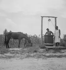 Possibly: Noontime chores, Granville County, North Carolina, 1939. Creator: Dorothea Lange