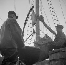 Possibly: New England fishermen unloading fish at the Fulton fish market, New York, 1943. Creator: Gordon Parks