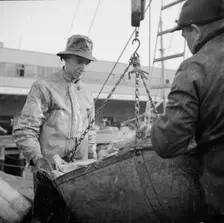 Possibly: New England fishermen unloading fish at the Fulton fish market, New York, 1943. Creator: Gordon Parks