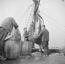 Possibly: New England fishermen unloading fish at the Fulton fish market, New York, 1943. Creator: Gordon Parks