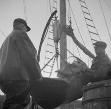 Possibly: New England fishermen unloading fish at the Fulton fish market, New York, 1943. Creator: Gordon Parks