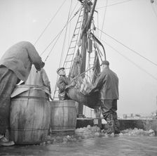 Possibly: New England fishermen unloading fish at the Fulton fish market, New York, 1943. Creator: Gordon Parks