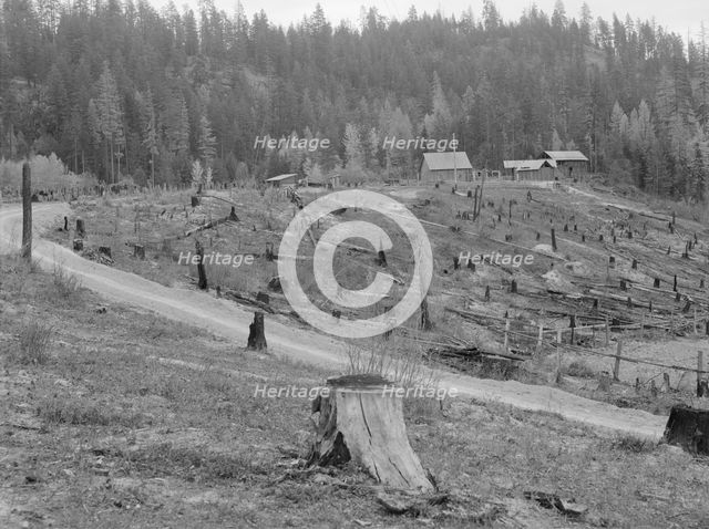 Possibly: New settlers shack at foot of hills on poor sandy soil, Boundary County, Idaho, 1939. Creator: Dorothea Lange.