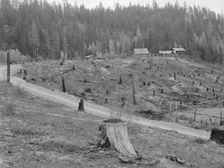 Possibly: New settlers shack at foot of hills on poor sandy soil, Boundary County, Idaho, 1939. Creator: Dorothea Lange