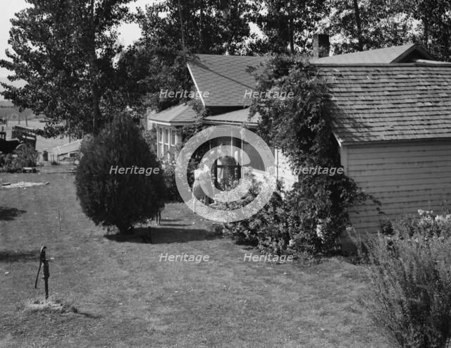 Possibly: near Wapato, Yakima Valley, Washington, 1939. Creator: Dorothea Lange.
