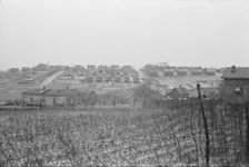 Possibly: Negro houses, Winston-Salem, North Carolina, 1935. Creator: Walker Evans