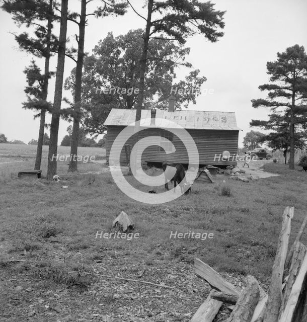 Possibly: Negro sharecropper house seen from rear, Person County, North Carolina, 1939. Creator: Dorothea Lange.