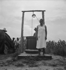 Possibly: Negro sharecropper tobacco farm, Person County, North Carolina, 1939. Creator: Dorothea Lange
