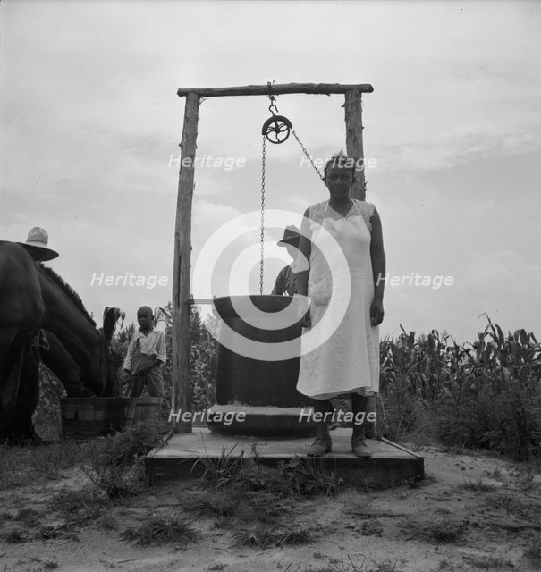Possibly: Negro sharecropper tobacco farm, Person County, North Carolina, 1939. Creator: Dorothea Lange.