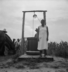 Possibly: Negro sharecropper tobacco farm, Person County, North Carolina, 1939. Creator: Dorothea Lange