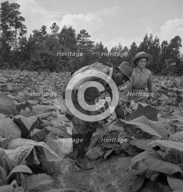Possibly: Negro tenants...and white owner's children..., Granville County, North Carolina, 1939. Creator: Dorothea Lange.