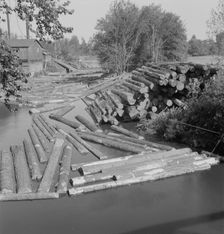 Possibly: Small sawmill on the Marys River near Corvallis, Oregon, 1939. Creator: Dorothea Lange