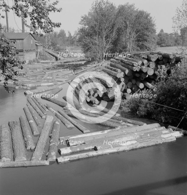 Possibly: Small sawmill on the Marys River near Corvallis, Oregon, 1939. Creator: Dorothea Lange.