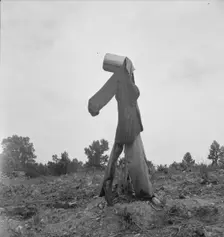Possibly: Scarecrow on a newly cleared field with stumps near Roxboro, North Carolina, 1939. Creator: Dorothea Lange