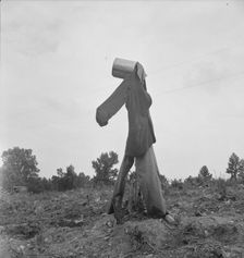 Possibly: Scarecrow on a newly cleared field with stumps near Roxboro, North Carolina, 1939. Creator: Dorothea Lange