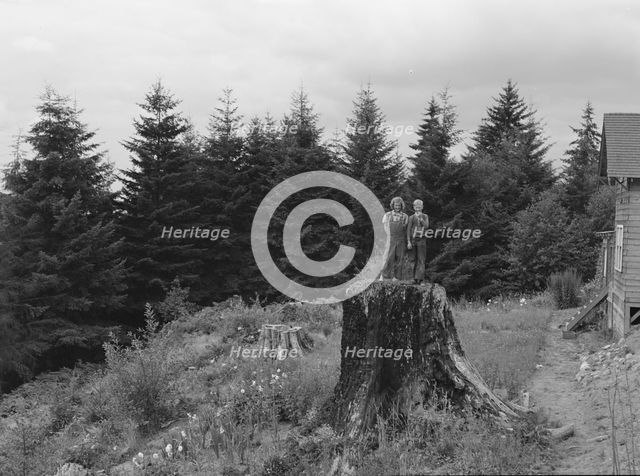 Possibly: Shows charater of the land...Elma, Grays Harbor County, Western Wasington, 1939. Creator: Dorothea Lange.