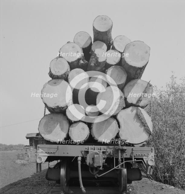 Possibly: Pelican Bay Lumber Company, near Klamath Falls, Klamath County, Oregon, 1939. Creator: Dorothea Lange.