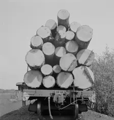 Possibly: Pelican Bay Lumber Company, near Klamath Falls, Klamath County, Oregon, 1939. Creator: Dorothea Lange