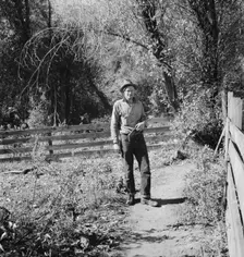 Possibly: Roy Carlock, member of Ola self-help sawmill co-op..., Gem County, Idaho, 1939. Creator: Dorothea Lange