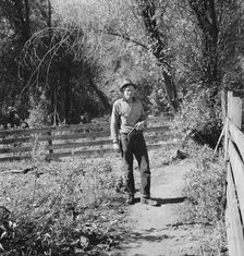 Possibly: Roy Carlock, member of Ola self-help sawmill co-op..., Gem County, Idaho, 1939. Creator: Dorothea Lange