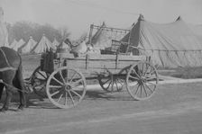Possibly: Refugees lined up at meal time in the camp for white..., Forest City, Arkansas, 1937. Creator: Walker Evans