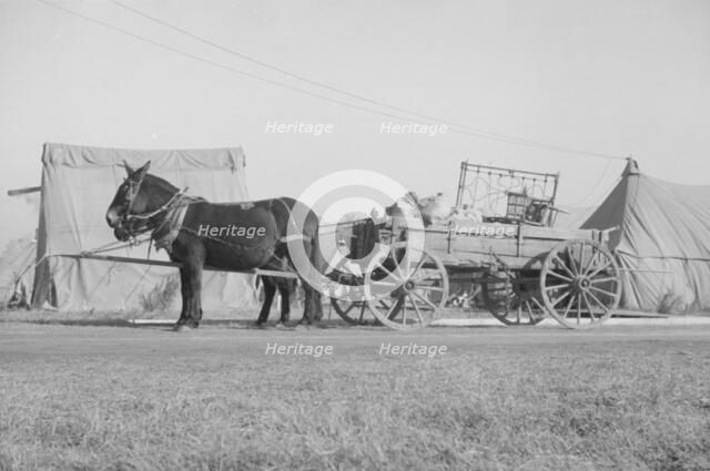 Possibly: Refugees lined up at meal time in the camp for white..., Forest City, Arkansas, 1937. Creator: Walker Evans.