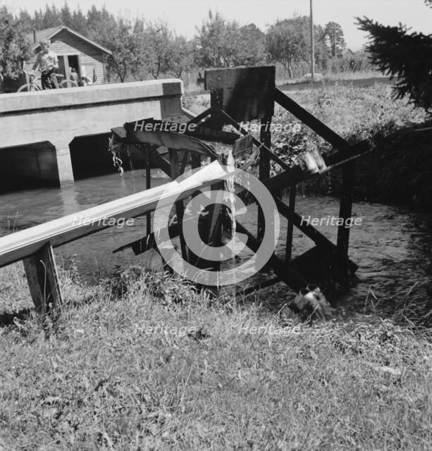 Possibly: Waterwheel for field irrigation..., north of West Stayton, Marion County, Oregon, 1939. Creator: Dorothea Lange.