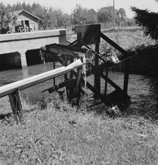 Possibly: Waterwheel for field irrigation..., north of West Stayton, Marion County, Oregon, 1939. Creator: Dorothea Lange