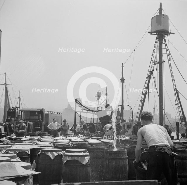 Possibly: Watering fish at the Fulton fish market with brine water, New York, 1943. Creator: Gordon Parks.