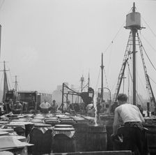 Possibly: Watering fish at the Fulton fish market with brine water, New York, 1943. Creator: Gordon Parks