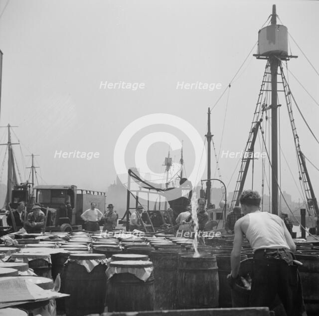 Possibly: Watering fish at the Fulton fish market with brine water, New York, 1943. Creator: Gordon Parks.