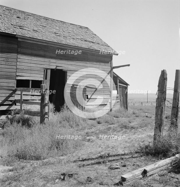 Possibly: Weeds crowd the barn door abandoned in Columbian Basin, Grant County, Washington, 1939. Creator: Dorothea Lange.