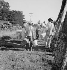 Possibly: Weighing beans at scales on edge of field, near West Stayton, Marion County, Oregon, 1939. Creator: Dorothea Lange