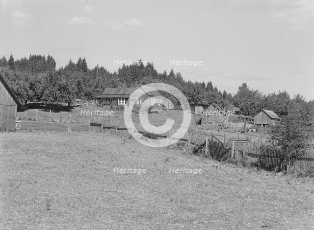 Possibly: Western Washington subsistence farm, whittled out of the stumps, Grays Harbor County, 1939 Creator: Dorothea Lange.