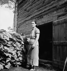 Possibly: Wives of tobacco tenants pile the tobacco..., Granville County, North Carolina, 1939. Creator: Dorothea Lange