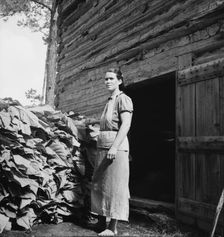 Possibly: Wives of tobacco tenants pile the tobacco..., Granville County, North Carolina, 1939. Creator: Dorothea Lange