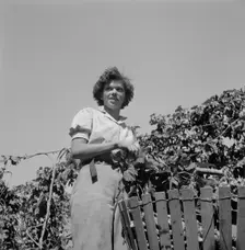 Possibly: Wife of an ex-logger, now a migrat..., Independence (vicinity), Polk County, Oregon, 1939. Creator: Dorothea Lange